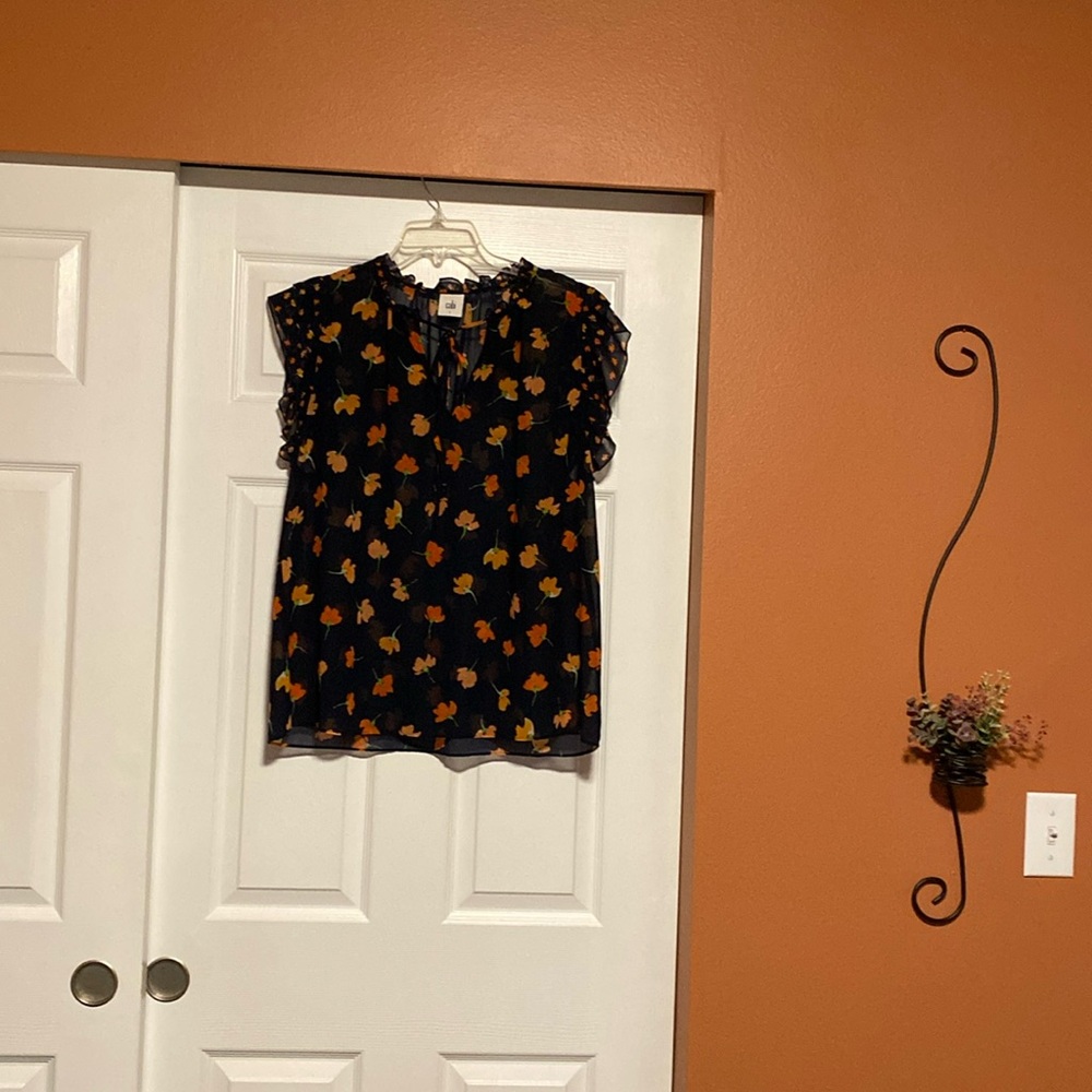 Super cute CAbi top
